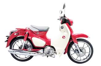 Super Cub C125 mới nhất 2024 - Nhiều màu xe siêu HOT